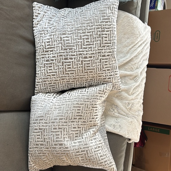 West elm 20x20 textured white/grey pillows. 2 sold together - Picture 2 of 3